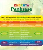 ENERGYA PANKRASE (Best Digestive Enzymes Supplement in India) - Image 2